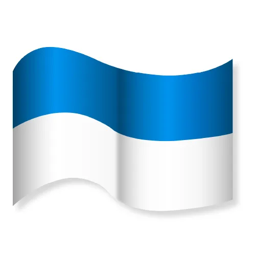 Bandera del Colegio San Luis